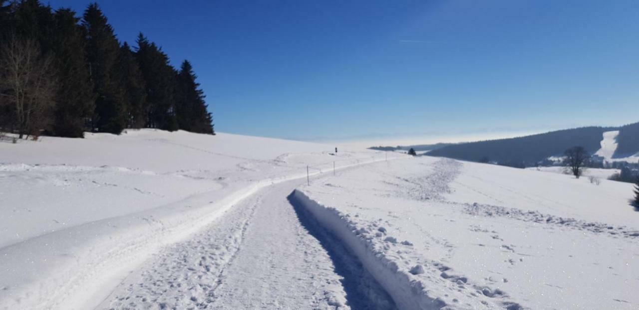 Jules Traum Im Schwarzwald Διαμέρισμα Herrischried Εξωτερικό φωτογραφία