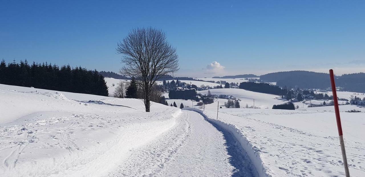 Jules Traum Im Schwarzwald Διαμέρισμα Herrischried Εξωτερικό φωτογραφία